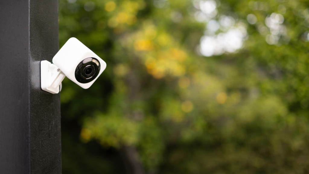 Wyze camera subscription