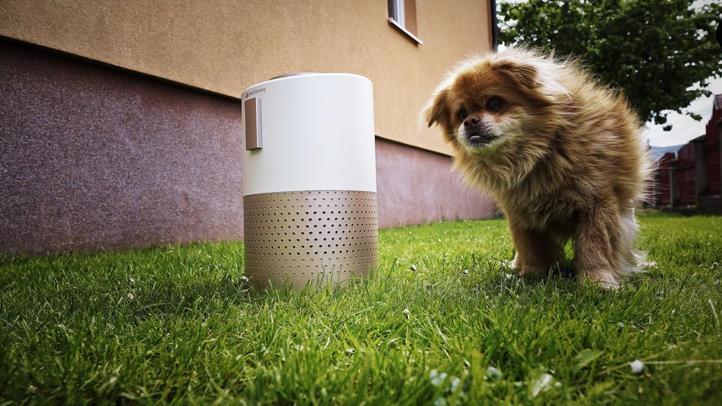 best pet air purifier