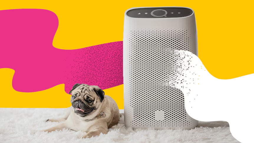 best pet air purifier